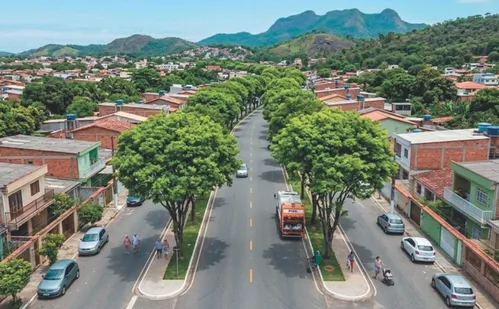 
          Imagem ilustrativa da imagem Cidades no ES criam projetos para reduzir sensação de calor
          