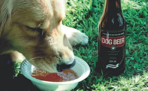 
          Imagem ilustrativa da imagem Com 4 mil empresas no ES, mercado pet cresce e tem até sorvete para cachorro
          