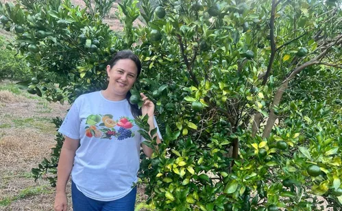 
          Imagem ilustrativa da imagem Conceição do Castelo: turismo rural cresce com safra de tangerina ponkan
          