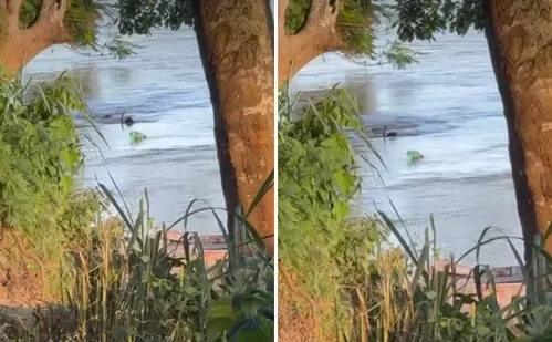 
          Imagem ilustrativa da imagem Criança de 8 anos morre afogada no Rio Doce, no Norte do ES
          