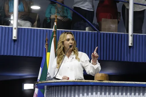 
          Imagem ilustrativa da imagem Cris demonstra independência, dizem vereadores
          