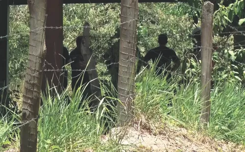 
          Imagem ilustrativa da imagem Delegado-geral: "Crime contra Dante Michelini foi com 'instrumento bem afiado'"
          