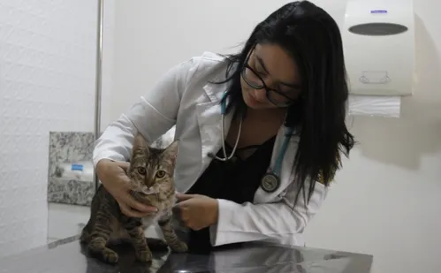 
          Imagem ilustrativa da imagem Diversão e conforto em hotéis para cães na Grande Vitória
          