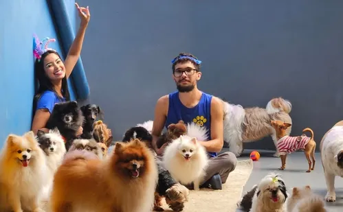 
          Imagem ilustrativa da imagem Diversão e conforto em hotéis para cães na Grande Vitória
          