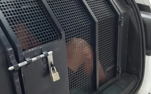 
          Imagem ilustrativa da imagem Dois suspeitos com mandado por homicídio são presos em Vitória
          