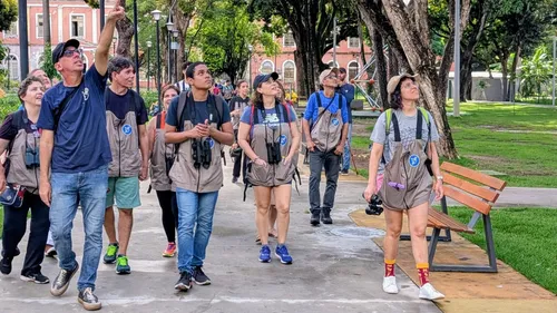 
          Imagem ilustrativa da imagem Domingo (29) é dia de observar pássaros na mata da UFRPE
          