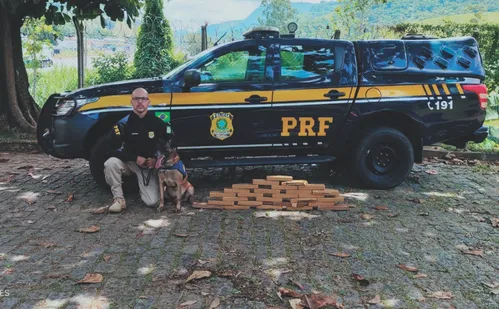 
          Imagem ilustrativa da imagem ES registra apreensão de quase 10 toneladas de drogas em um ano
          