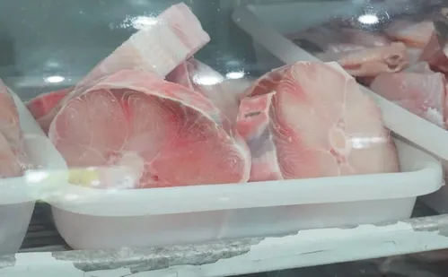 
          Imagem ilustrativa da imagem Economia marinha: denúncia de prejuízos com atividade predatória
          