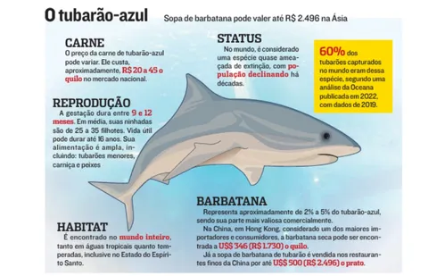 
          Imagem ilustrativa da imagem Economia marinha: denúncia de prejuízos com atividade predatória
          