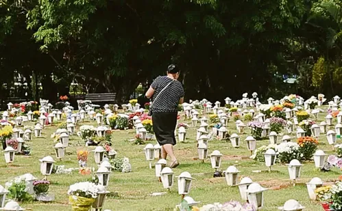 
          Imagem ilustrativa da imagem Entenda a lei que autoriza enterro de pets em túmulos de famílias na Serra
          