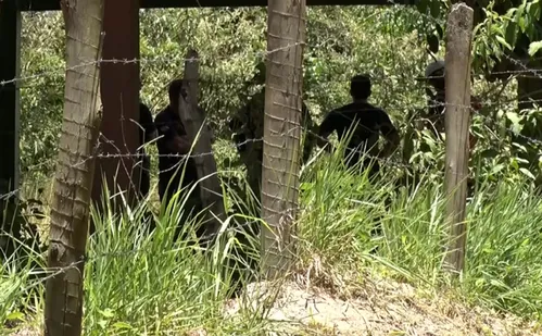 
          Imagem ilustrativa da imagem Envolvido no Caso Araceli: Dante Michelini vivia recluso há anos, diz advogado
          