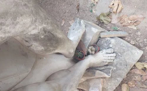 
          Imagem ilustrativa da imagem Estátua perdida há 47 anos é encontrada em quintal de casa em Vila Velha
          