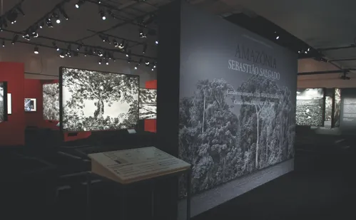 
          Imagem ilustrativa da imagem Exposição “Amazônia”, de Sebastião Salgado, chega a 12 mil visitantes em Vitória
          