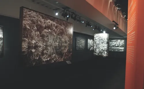 
          Imagem ilustrativa da imagem Exposição no Cais das Artes vira atração no feriadão
          