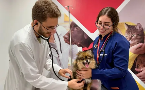 
          Imagem ilustrativa da imagem Faculdades abrem vagas para atendimento a pets
          