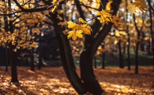 
          Imagem ilustrativa da imagem Fim do verão: Como vai ser o clima durante o outono no ES?
          