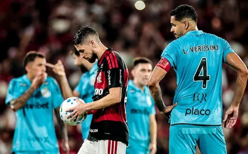 
          Imagem ilustrativa da imagem Flamengo vira sobre Santos em Maracanã lotado e se recupera após tropeços
          