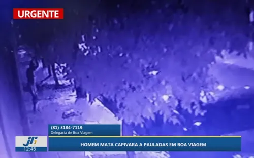 
          Imagem ilustrativa da imagem Homem mata capivara a pauladas em Boa Viagem e polícia busca suspeito
          