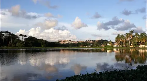 
          Imagem ilustrativa da imagem Homem morre afogado no Açude de Apipucos após bebedeira
          