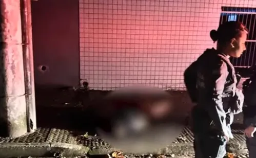 
          Imagem ilustrativa da imagem Homem morre eletrocutado após tentar roubar fios de poste em Vitória
          