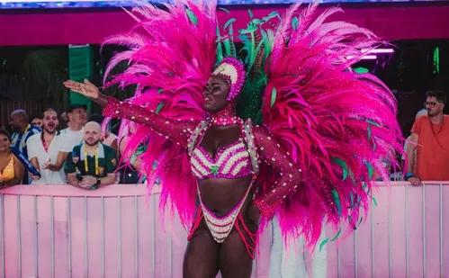 
          Imagem ilustrativa da imagem Imperatriz do Forte encerra desfiles do Grupo Especial com enredo sobre Xirê
          