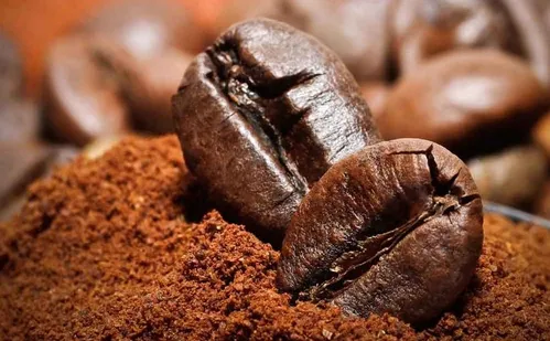 
          Imagem ilustrativa da imagem Indústrias em novo polo de café solúvel no Espírito Santo
          