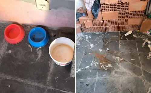 
          Imagem ilustrativa da imagem Jovem é preso após cachorro ser flagrado em situação de maus-tratos em Vitória
          