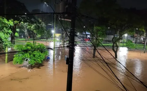 
          Imagem ilustrativa da imagem Juiz de Fora: volume de chuva em fevereiro já é o triplo do esperado para o mês
          