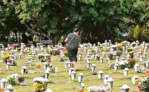 
          Imagem ilustrativa da imagem Lei em São Paulo permite sepultamento de pets junto aos seus tutores
          