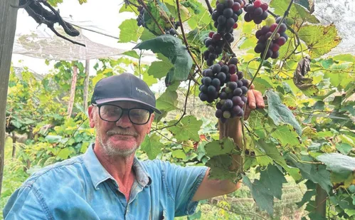 
          Imagem ilustrativa da imagem Linhares e Colatina: atrativos para curtir de Regência a São Pedro Frio
          