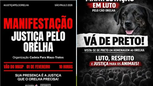 
          Imagem ilustrativa da imagem Manifestações pela morte do cão Orelha serão realizadas em capitais do Brasil; veja onde
          