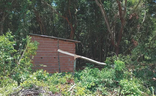 
          Imagem ilustrativa da imagem Moradores voltam a denunciar invasões na APA de Setiba, em Guarapari
          