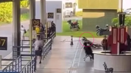 
          Imagem ilustrativa da imagem Mulher morre em banco do TIP e corpo aguarda mais de seis horas para ser removido
          