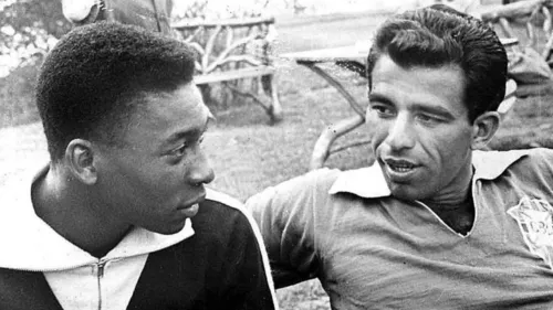 
          Imagem ilustrativa da imagem O DNA pernambucano do "Peito de Aço"
          