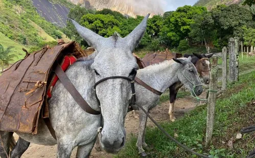 
          Imagem ilustrativa da imagem O que conhecer, onde comer e onde se hospedar em Conceição do Castelo
          