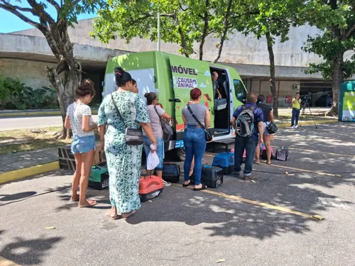 
          Imagem ilustrativa da imagem Olinda sedia mutirão gratuito para castração de cães e gatos
          