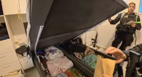 
          Imagem ilustrativa da imagem Operação Colmeia: polícias Civil e Militar miram tráfico de drogas no Rio; 14 são presos
          