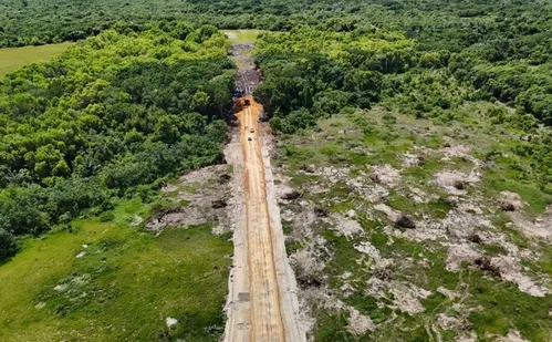
          Imagem ilustrativa da imagem Operação interrompe obra irregular em área ambiental no Norte do ES
          