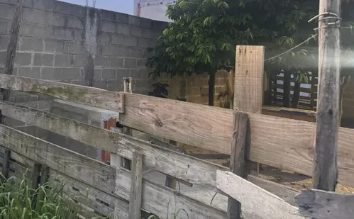 
          Imagem ilustrativa da imagem Operação no ES prende mulher ligada a piloto acusado de exploração sexual infantil
          