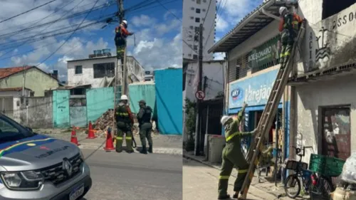 
          Imagem ilustrativa da imagem Operação policial retira câmeras de monitoramento clandestinas no Recife
          