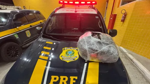 
          Imagem ilustrativa da imagem PRF apreende 5,4 kg de maconha escondidos sob estepe em Petrolina
          