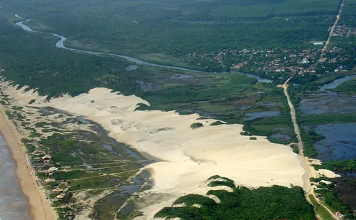 
          Imagem ilustrativa da imagem Parque ambiental capixaba atua no resgate de animais
          