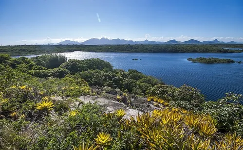 
          Imagem ilustrativa da imagem Parques Estaduais do ES são opção para curtir o Carnaval longe da agitação
          