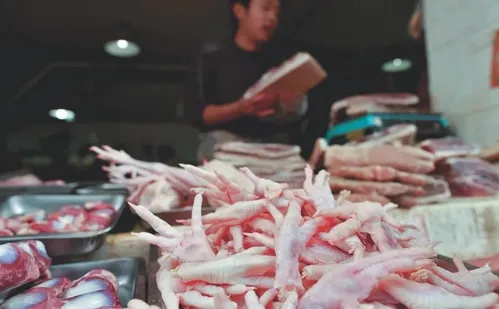 
          Imagem ilustrativa da imagem Pé de galinha produzido no ES atrai interesse milionário da China
          