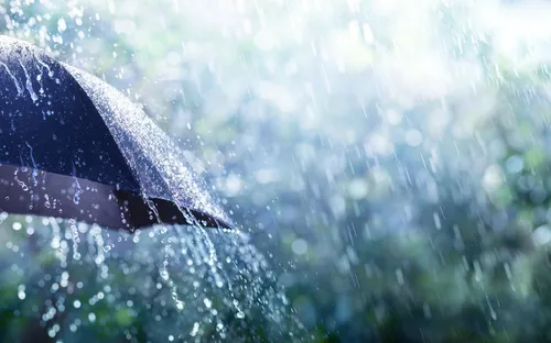 
          Imagem ilustrativa da imagem Pernambuco tem previsão de chuva moderada no litoral e em Noronha nesta segunda
          