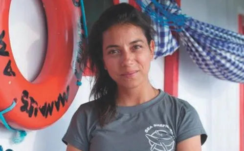 
          Imagem ilustrativa da imagem Pescadores querem licença para pegar mais tubarões
          