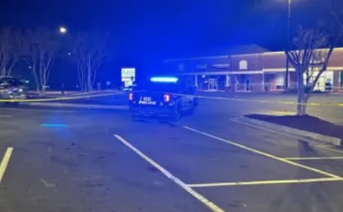 
          Imagem ilustrativa da imagem Polícia dos EUA mata brasileiro após família pedir atendimento de saúde mental
          