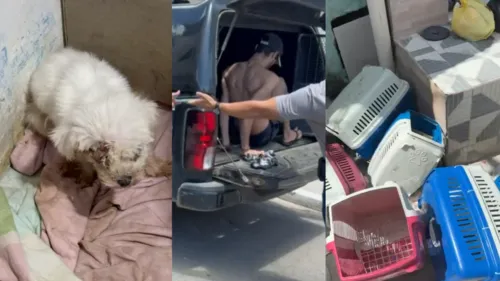 
          Imagem ilustrativa da imagem Polícia fecha canil clandestino e prende homem por maus-tratos e tráfico na RMR
          