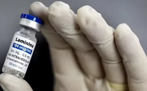 
          Imagem ilustrativa da imagem Polilaminina: Comité de Ética aprova estudo clínico e recrutamento de pacientes
          