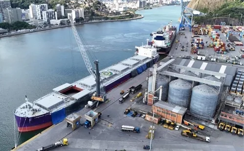 
          Imagem ilustrativa da imagem Portos de Vitória e Vila Velha movimentam 1,8 milhão de toneladas no 1º trimestre
          